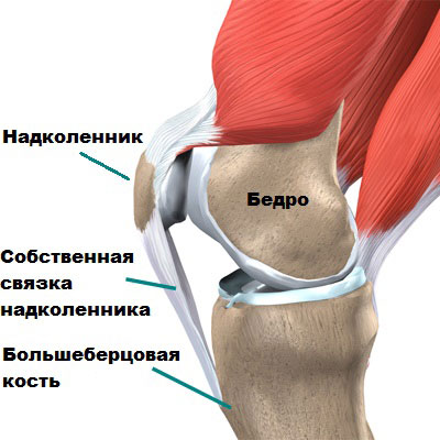Артроскопия пкс коленного сустава 9