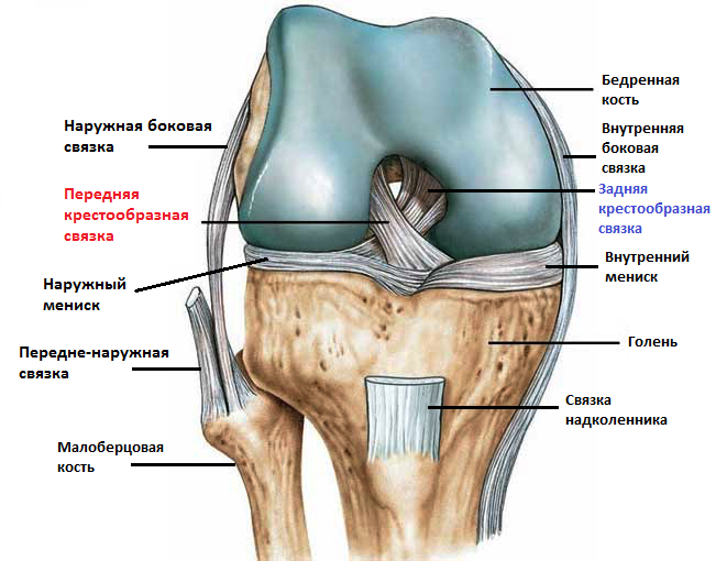 Артроскопия пкс коленного сустава 114