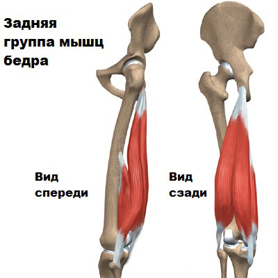 Артроскопия пкс коленного сустава 86