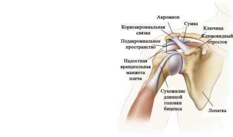 Дисторсия связок плечевого сустава 166