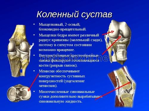 Физиотерапия при кисте бейкера коленного сустава 176