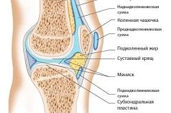 Киста коленного сустава причины возникновения 163