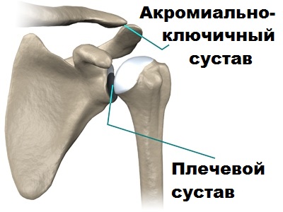 Клиника плечевого сустава 151