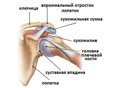 Медицина артроз плечевого сустава 9