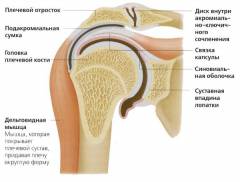 Народные методы лечения артроза плечевого сустава 128