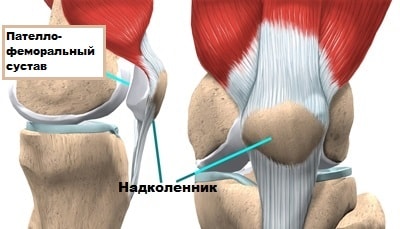 Подвижность коленного сустава 112
