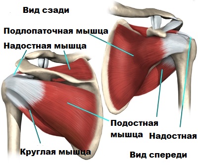 Разрыв манжетки плечевого сустава симптомы и лечение 128