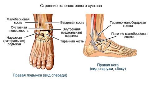 Щель голеностопного сустава 46