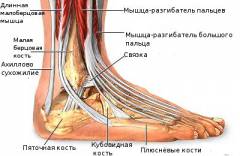 Щель голеностопного сустава 88