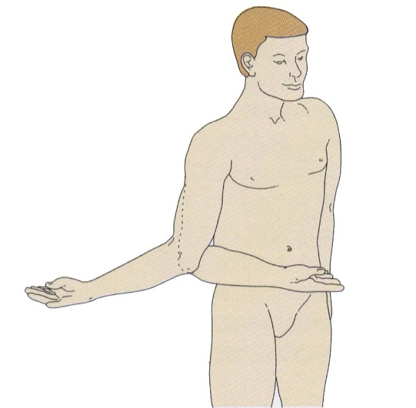 Схема плечевого сустава 55
