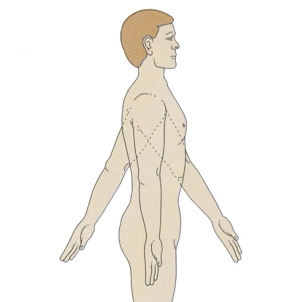 Схема плечевого сустава 73