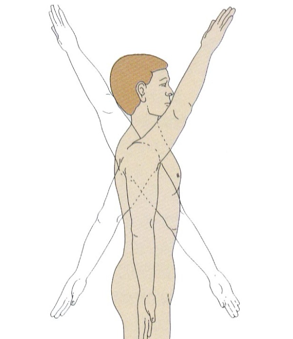 Схема плечевого сустава 70