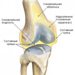 Синусит коленного сустава лечение 45