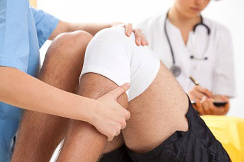 Строение мениска коленного сустава человека 155