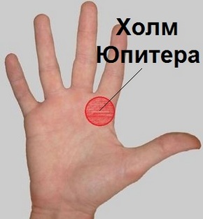 Указательный палец сустав 31